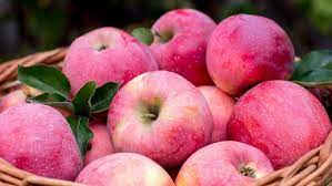 Manfaat Manfaat Yang Di Dapat Dari Makan buah Apel